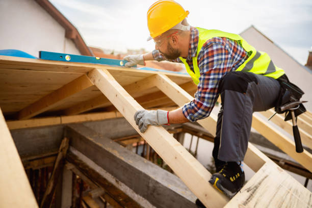 Best Roof Maintenance Services  in Burbank, IL